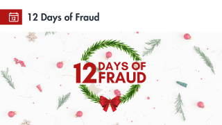 12 Days of Fraud